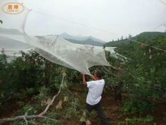 Beyaz Renkli Tıbbi Ağ Dokuma Warp Dokuma Makinesi