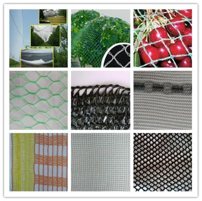 Warp örgü makinesi performansını tanımlayan çekirdek bileşeni