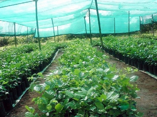 Çift İğne Gölge Güneş Gölge Ağı Makinesi DRCA Tipi HDPE Bakire Malzeme Güneş ışığı Yeşil Gölge Ağı Yapma Makinesi