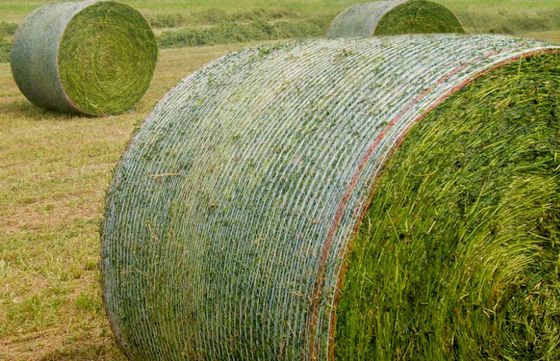 HDPE Tarımsal Bale Net örgü makinesi 7500W Warp tarzı